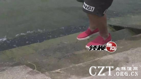 目击者: