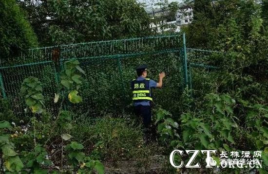随后,路政员将三兄妹安全护送到家,并关闭被打开的隔离栅,继续上路巡逻。