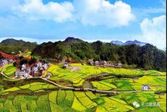 厉害了!岳阳这个地方或将成湖南首家