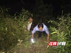 五人深山找枞菌集体迷路 泸溪公安搜山