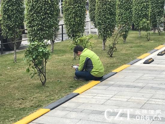 午休时间,一家公司楼下有员工正在阅读。 澎湃新闻记者 沈文迪 图