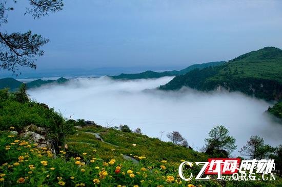 黄岩生态旅游区涌动的云海。景区供图